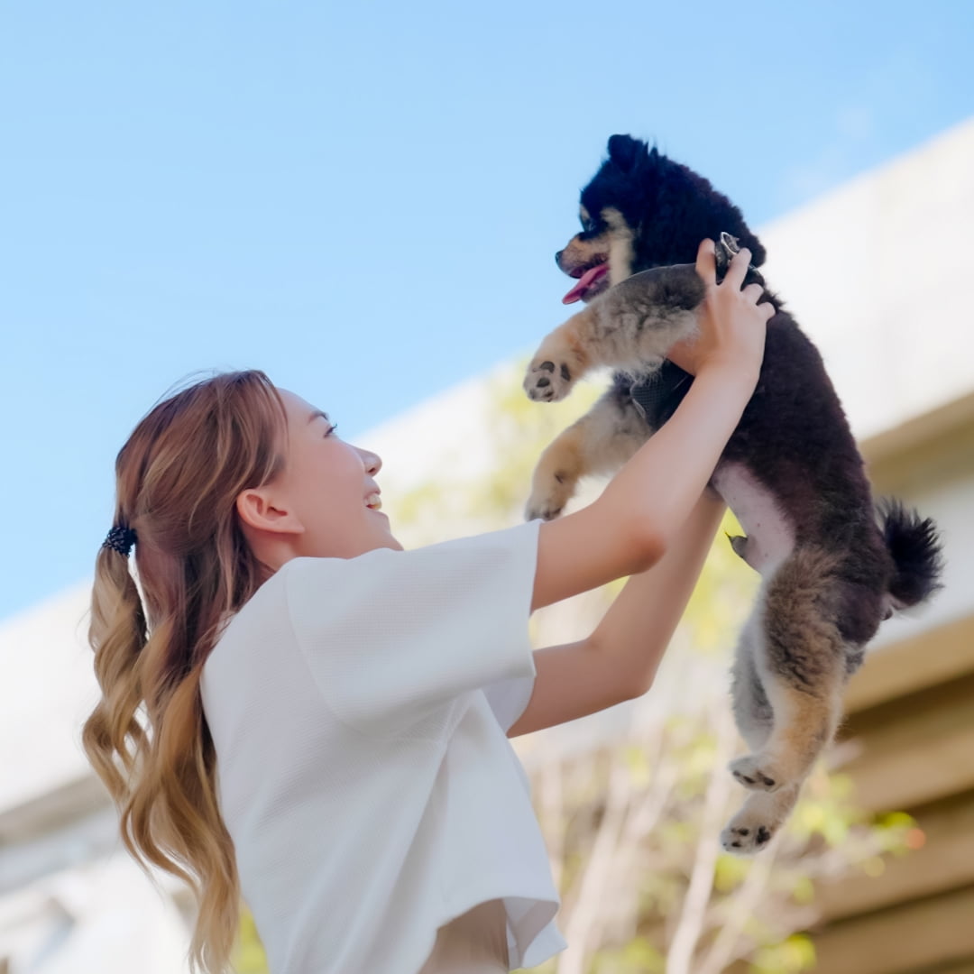 愛犬の気持ちを第一に考えた設計